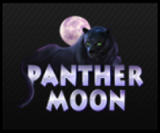 Panther Moon