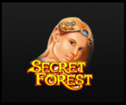 Secret Forest