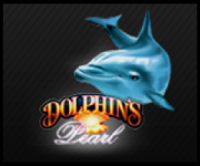 Dolphins Pearl